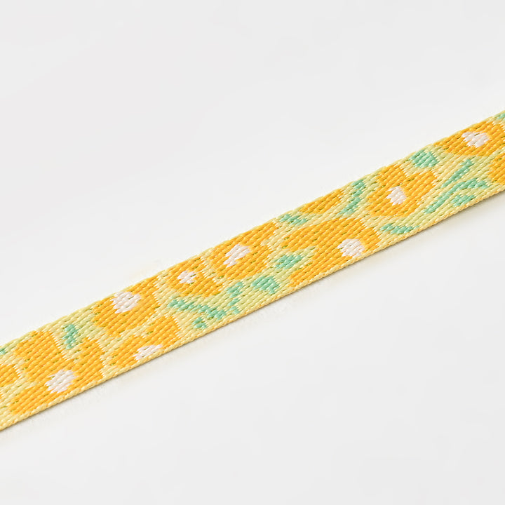 Gentle Leash_Big Fish Yellow
