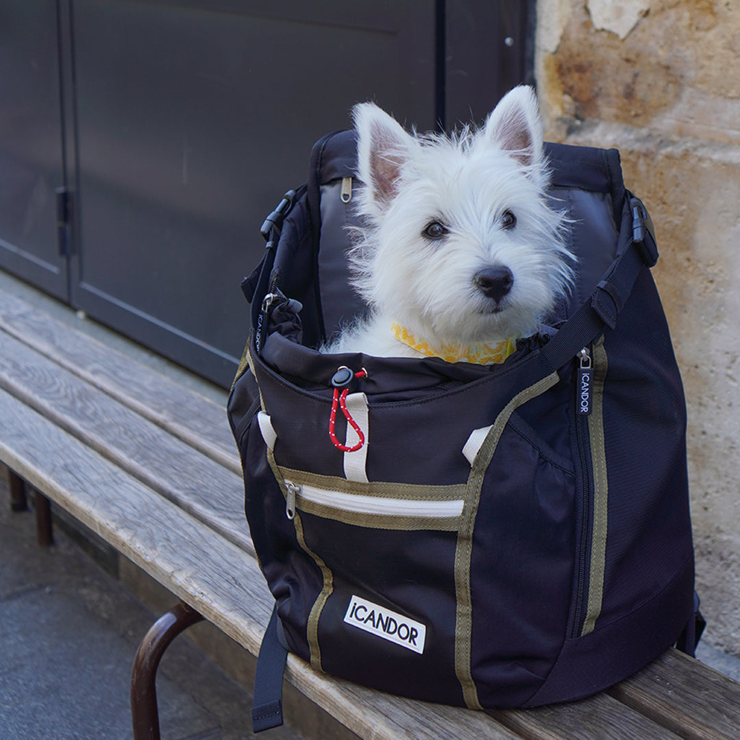 JIGE AB Bag_Woody Black