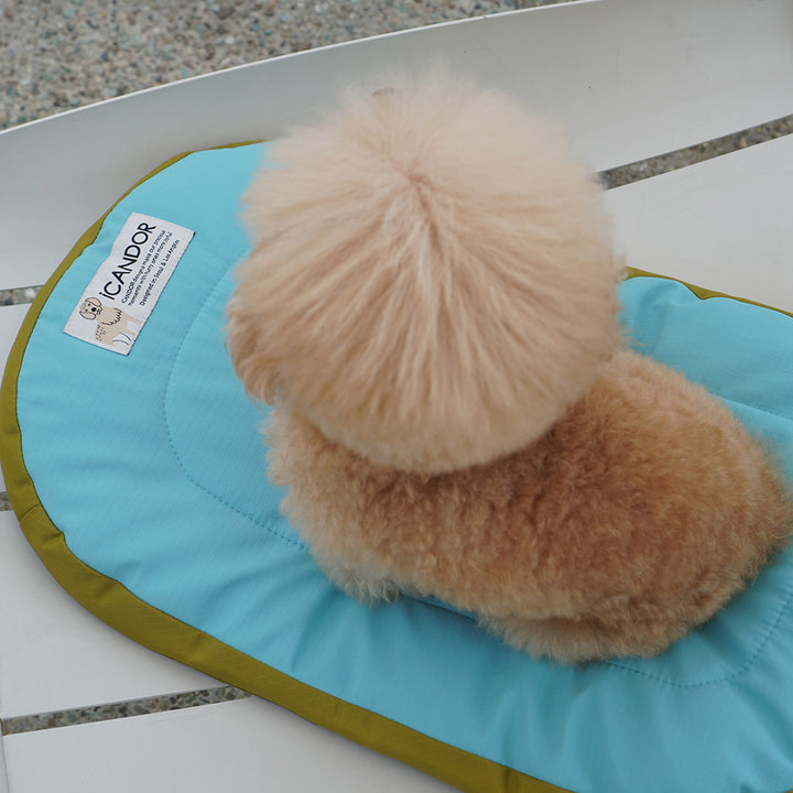 Urban Nest Cushion_Mint